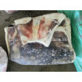 peru giant squid fillet skin-on frozen seafood raw material